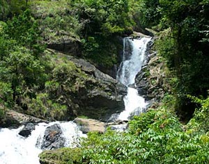 Sriniketana