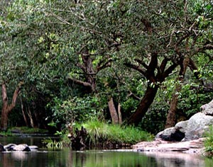 Sriniketana